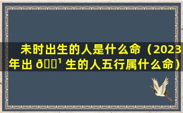 未时出生的人是什么命（2023年出 🌹 生的人五行属什么命）